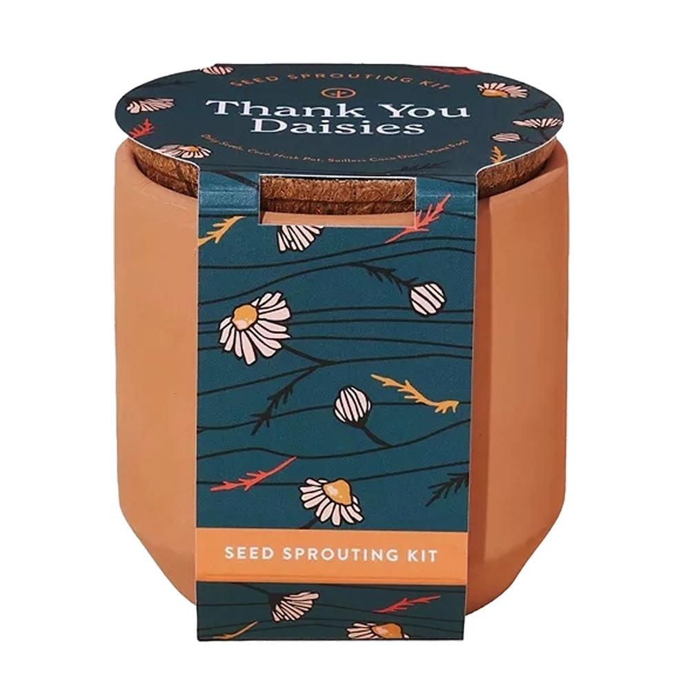 Modern Sprout - 'Daisies' Terracotta Seed Sprouting Kit.