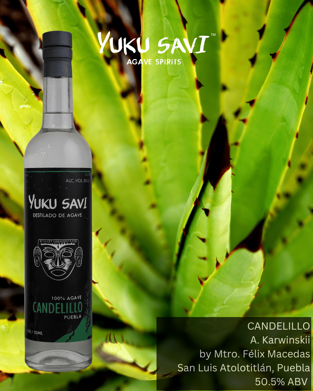 Yuku Savi Candelillo Mezcal 750ML - Authentic Mexican Spirit – The
