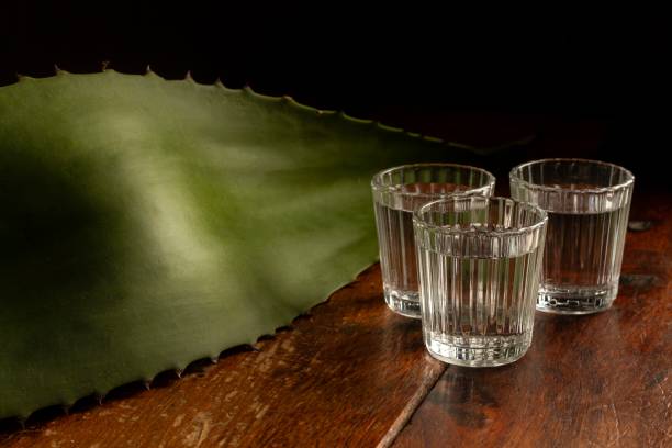 Exploring the Tequila Worm : Myth vs. Reality - The Epicurean Trader