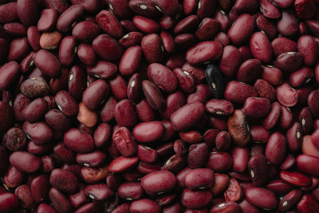 How to Cook Heirloom Beans: Tips and Recipes for Delicious Meals - The Epicurean Trader