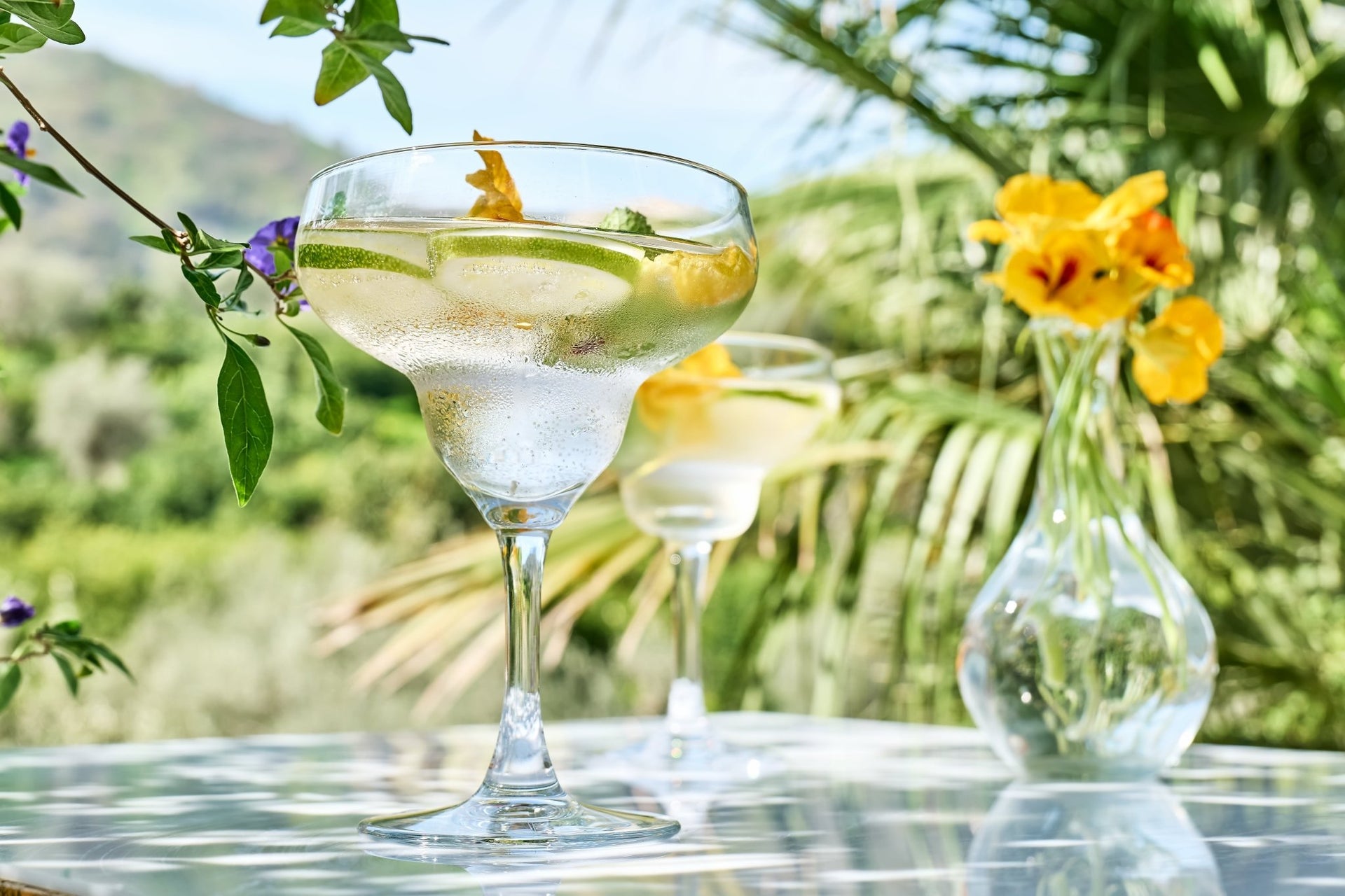 How to Make the Perfect Margarita: Tequila Tips and Tricks - The Epicurean Trader