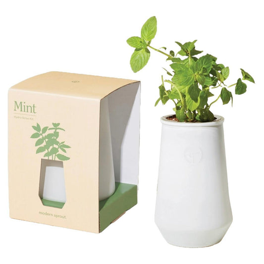 Modern Sprout - 'Mint' Tapered Tumbler Self Watering Hydro Grow Kit