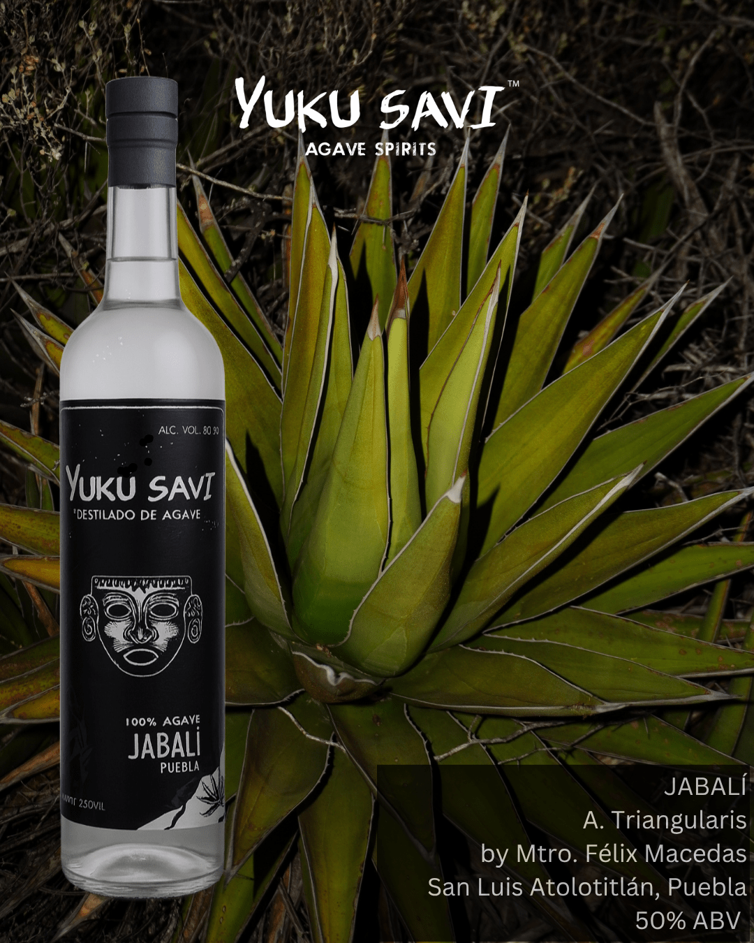 Yuku Savi - 'Jabalí' Mezcal (Jabalí | 750ML)